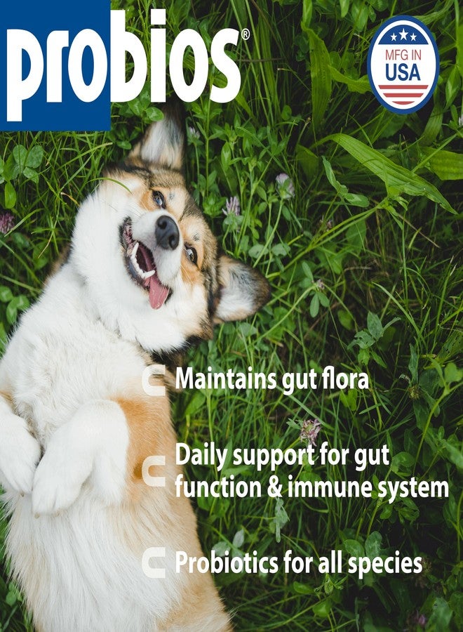 Probios Digestive Support Probiotic for All Species, Probiotics for Gut Health, Dispersible Powder, 240 gm - Image 2